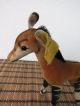 Steiff Okapi Mit Knopf Und Fahne Nr.  6414,  00 Alt - Vintage Steiff Bild 5