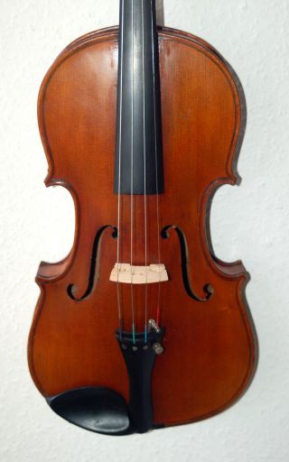 Wunderschöne Alte Deutsche 4/4 Geige - Violine - Um 1900 Bild