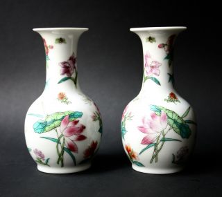 Famille Rose Porcelain,  Lotos Peony Wisteria Lily,  China Mark Jingdezhen Bild