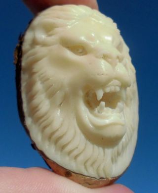 Löwe,  Löwen - Kopf,  Geschnitzt Aus Tagua - Nuss Bild