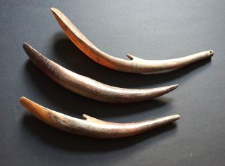 3 Sidamo Spoons Horn,  Ethiopia - 3 Sidamo Horn LÖffel,  Äthiopien Bild