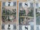 Antikes Kartenspiel_21 Karten_art Déco Um 1935_tarock_cego - Spiel Gefertigt vor 1945 Bild 9