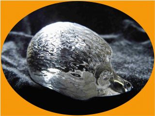 Kleiner Süßer Igel Bleikristall Glas Figur Klar Top Bild