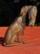 Große Sehr Schöne Alte Sehr Massive Wiener Bronze,  Jagdhund Mit Hase,  Um 1900 Jagd & Fischen Bild 6