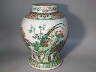Große Alte Vase Porzellan China Wohl 19.  Jh.  Paradiesvogel Vogel Figur - Dekor Bird Bild