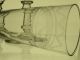4 Sektgläser,  Champagne Gläser,  Sektflöten Um 1880 Umlaufend Decor Glas & Kristall Bild 7