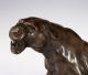 Charles Valton Bronze Figur Puma Berglöwe 1910 Frankreich Animalier Skulptur Bronze Bild 1