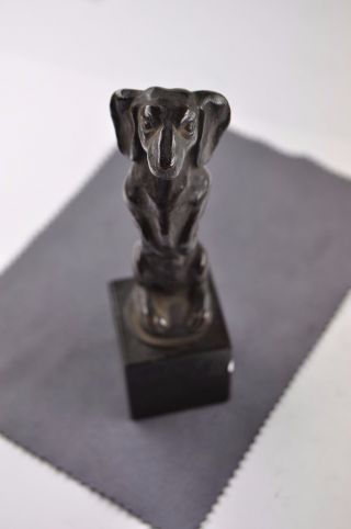 Antike Bronze In Form Eines Dackels Auf Marmorsockel,  Wohl Art Deco Um 1920 Bild
