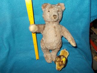 Antikspielzeug - Steiff - Alter Bär Und Löwe,  Steifftiere,  1950er,  Old Baer,  Teddys Bild