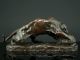 Georges Gardet Tier Skulptur Bronze Tiger & Schildkröte 1900 Animalier Sculpture Bronze Bild 4