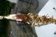 Tenor Saxophon Yanagisawa T900 Blasinstrumente Bild 6