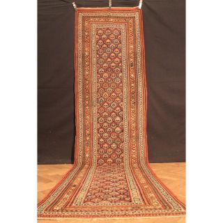 Antik Handgeknüpfter Sammler Teppich Kasak Kazak Shirvan Old Rug Carpet 370x99cm Bild