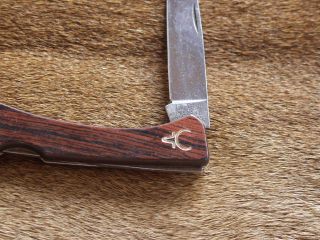 1 X Altes Ungebrauchtes Taschen - Messer Imperial Ireland Stainless 18 Cm Bild