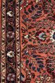 Handgeknüpfter Persischer Teppich - Läufer Ca.  (306x80 Cm) Fachmännisch Gereinigt Teppiche & Flachgewebe Bild 5