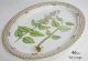 Royal Copenhagen Flora Danica 46cm Oval Plate Dish 1 Wahl /no Damages Nach Marke & Herkunft Bild 15