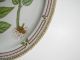 Royal Copenhagen Flora Danica 46cm Oval Plate Dish 1 Wahl /no Damages Nach Marke & Herkunft Bild 8