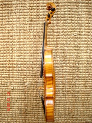 4/4 Violine Geige Carl Gottlob Schuster Jun.  Brandst.  Klang Sofort Spielb. Bild