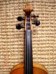 4/4 Violine Geige Carl Gottlob Schuster Jun.  Brandst.  Klang Sofort Spielb. Musikinstrumente Bild 7