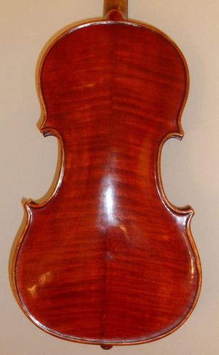 Alte Geige Violine 4/4 Old Violin Italian Labeled Pietro Gallinotti Violino Bild