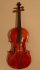 Alte Geige Violine 4/4 Old Violin Italian Labeled Pietro Gallinotti Violino Musikinstrumente Bild 2