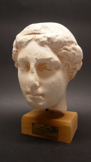 Büste Aphrodite Museumsbüste Modell 20cm Bild