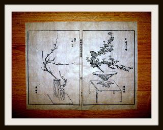 2 Japanische Holzschnitte,  Tokugawa - Schogunat,  Reis - Papier,  Ikebana - Kunst,  Um1600 Bild