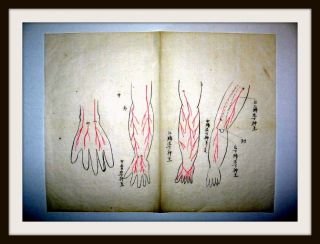 Traditionelle Japan.  Medizin - Handschrift,  Seikotsu - Jutsu,  Handkoloriert,  Um 1700 Bild