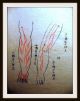 Traditionelle Japan.  Medizin - Handschrift,  Seikotsu - Jutsu,  Handkoloriert,  Um 1700 Antiquitäten & Kunst Bild 2