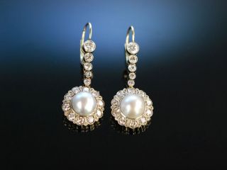 Antike Ohrringe Gold Platin Orient Perle Diamanten Um 1900 Natural Pearl Earring Bild