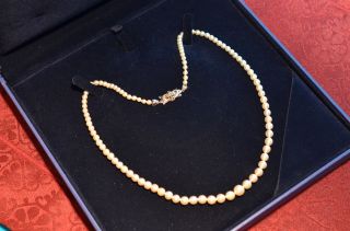 Schöne Echte Perlenkette Mit Verschluss Weißgold 750 Bild