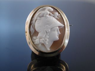 Antike Muschel Gemmen Brosche Kamee Gold England Um 1850 Perseus Cameo Brooch Bild