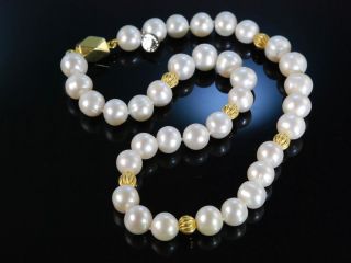 Feine Grosse Zucht Perlen Kette Collier Silber 925 Vergoldet Pearl Necklace Bild