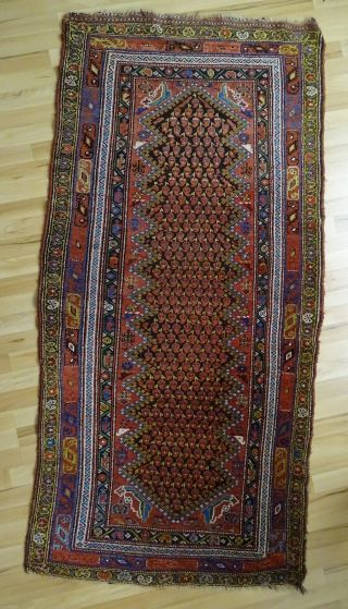 Nord West Persischer Orient Teppich Geknüpft 1900 Bis 1925 100x200 Bild