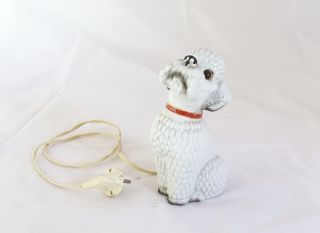 Alter Rauchverzehrer Bettelnder Pudel Hund In Weiß - Herrliche Rarität Bild