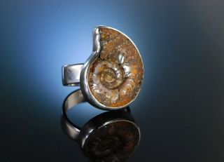 Seventies Grosser Vintage Ring Sterling Silber 925 Ammonit Fossil Versteinerung Bild