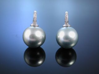 Tahiti Grey Zucht Perlen OhrhÄnger Brillianten Gold 750 Ohrringe Pearl Earrings Bild