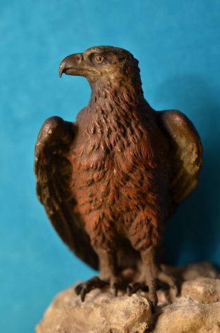 Alte Antike Naturgetreue Bronzefigur Adlerfigur Auf Stein Um 1900 Bild
