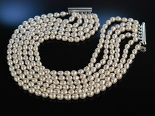 Edle Zucht Perlen Kette 6reihig Silber Pearl Choker Necklace Collier De Chien Bild