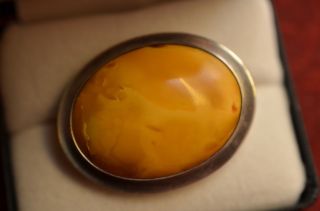 Alte Schöne Bernsteinbrosche Silber 835 Amber Butterscotch Bild