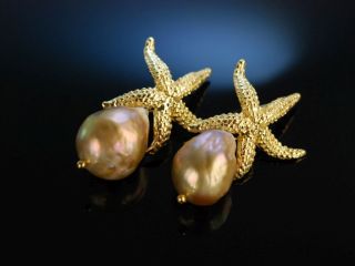 Big Sea Stars Seestern Ohrringe Silber 925 Vergoldet Barocke Zuchtperlen Tropfen Bild