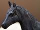 Bronze Pferd Pferde Skulptur Statue Figur Deko Dekoration Entstehungszeit nach 1945 Bild 2