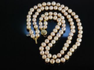 Zartes RosÉ Zucht Perlen Collier Kette Silber 925 Vergoldet Pearl Necklace Bild