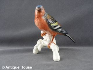 Hutschenreuther ältere Porzellanfigur Vogel Made In Western Germany Modell 95 Bild