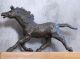 F.  Haufe - Junges Pferd ✨ LiebhaberstÜck ✨ 30cm - Skulptur - Tierfigur 1982 Bronze Bild 1