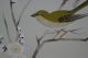 Antikes Japanisches Rollbild Kakejiku Vogel Am Baum Japan Scroll 3552 Asiatika: Japan Bild 3