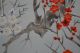 Antikes Japanisches Rollbild Kakejiku Vogel Am Baum Japan Scroll 3552 Asiatika: Japan Bild 4