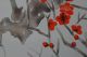 Antikes Japanisches Rollbild Kakejiku Vogel Am Baum Japan Scroll 3552 Asiatika: Japan Bild 5