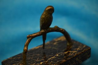 Altes Bronze Papagei Modell Auf Ast Sitzend Naturgetreu 1920/30 Bild