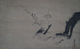 Antikes Japanisches Rollbild Kakejiku Pflaumenblüten Japan Scroll Ume Tree 3345 Bild
