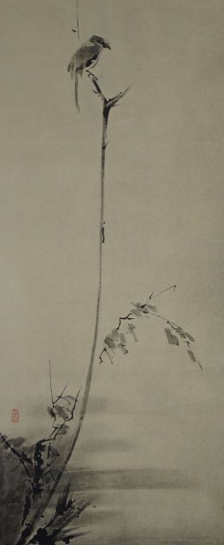 Japanisches Rollbild Kakejiku Musashi - Vogel Auf Einem Strauch Scroll 3504 Bild